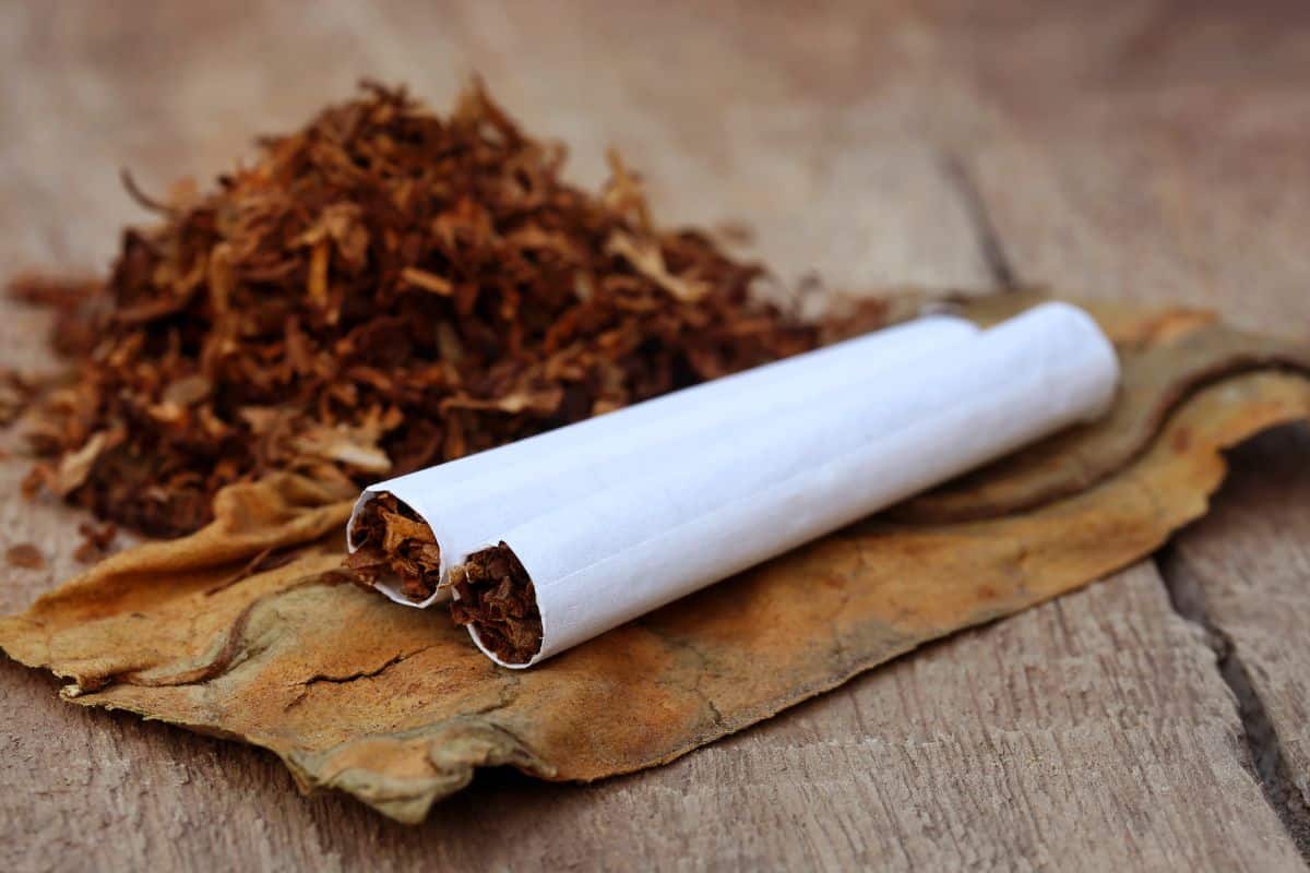 The Dangers of Using Tobacco Products