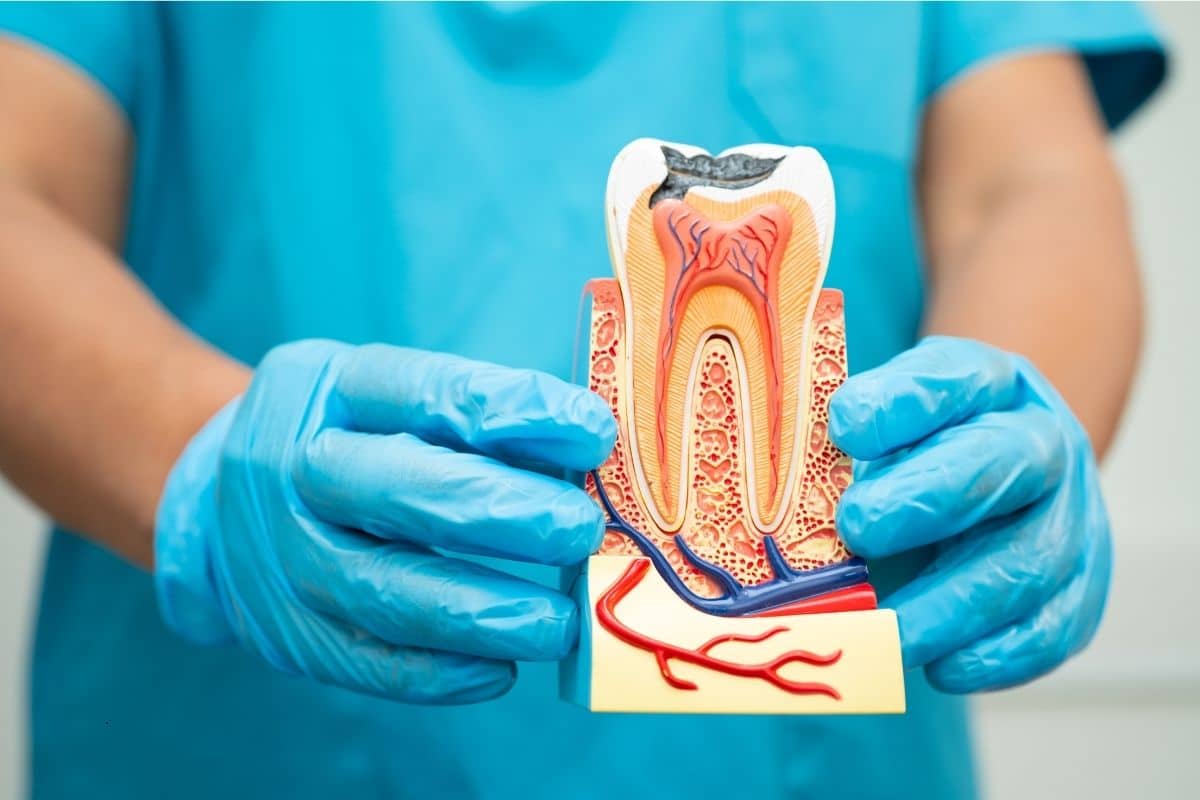 Root Canal Therapy Protects Your Smile Long-Term